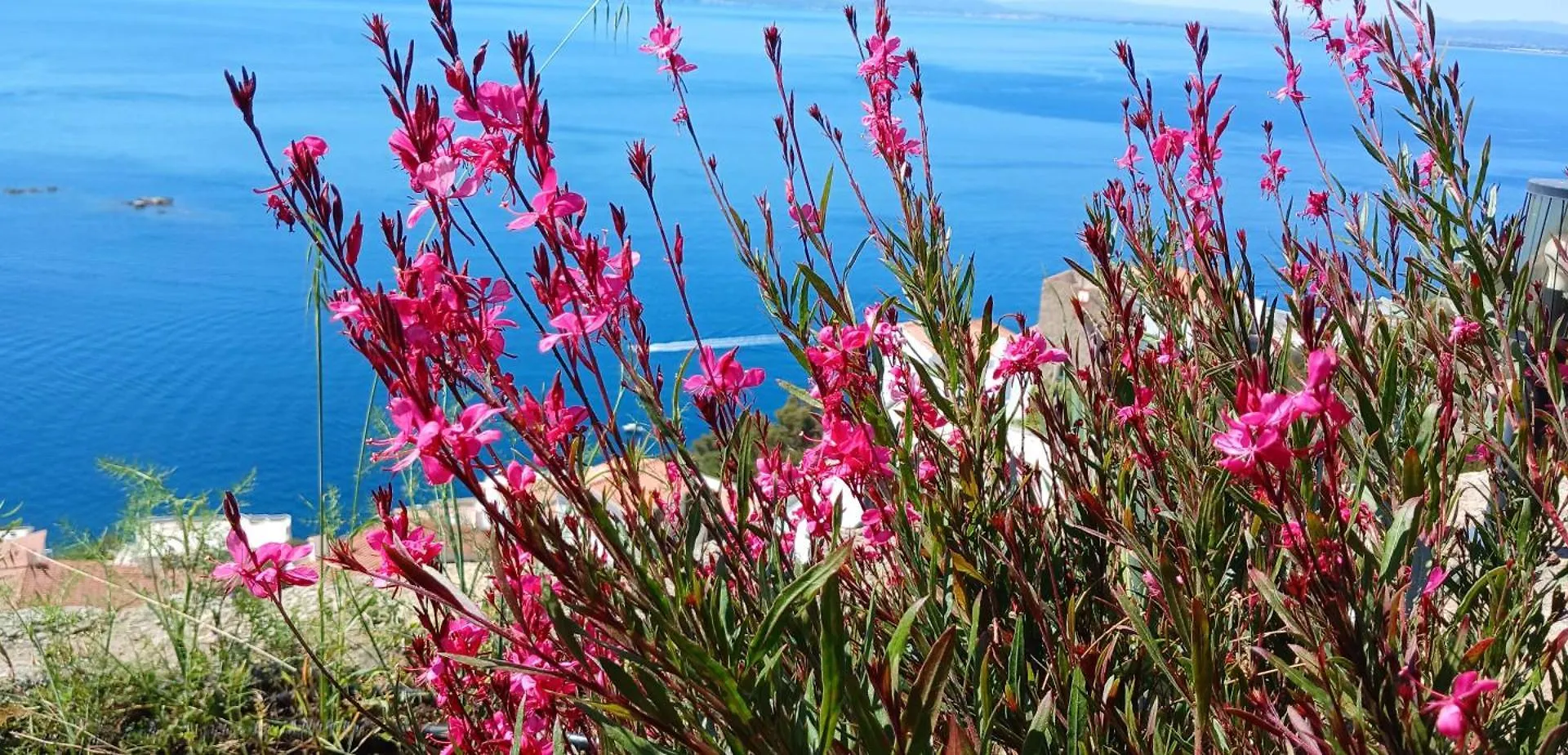 Casa de Férias Coup De Coeur Vila Roses